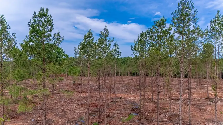 LOT #2 Grant 55, Hensley, AR 72065 - #3