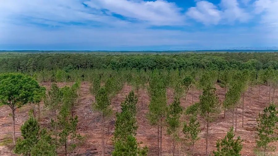LOT #3 Grant 55, Hensley, AR 72065 - #3
