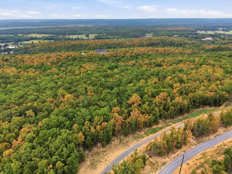 58 Seven Lakes Ranch Boulevard, Danley, AR 72173 - #3