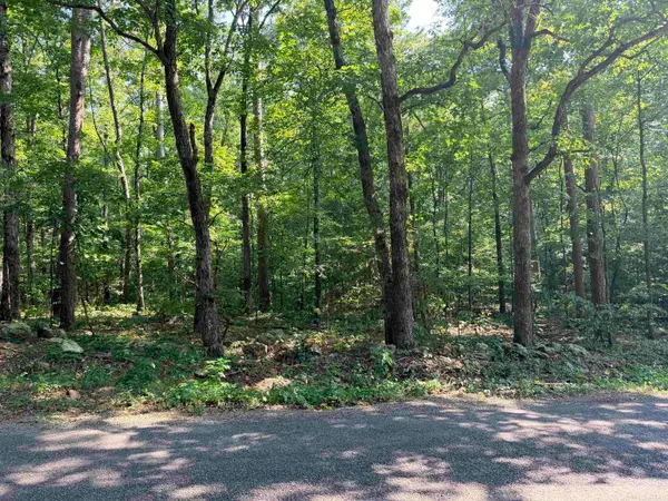 Lot 16 & 17 Ellen Lane, Higden, AR 72067