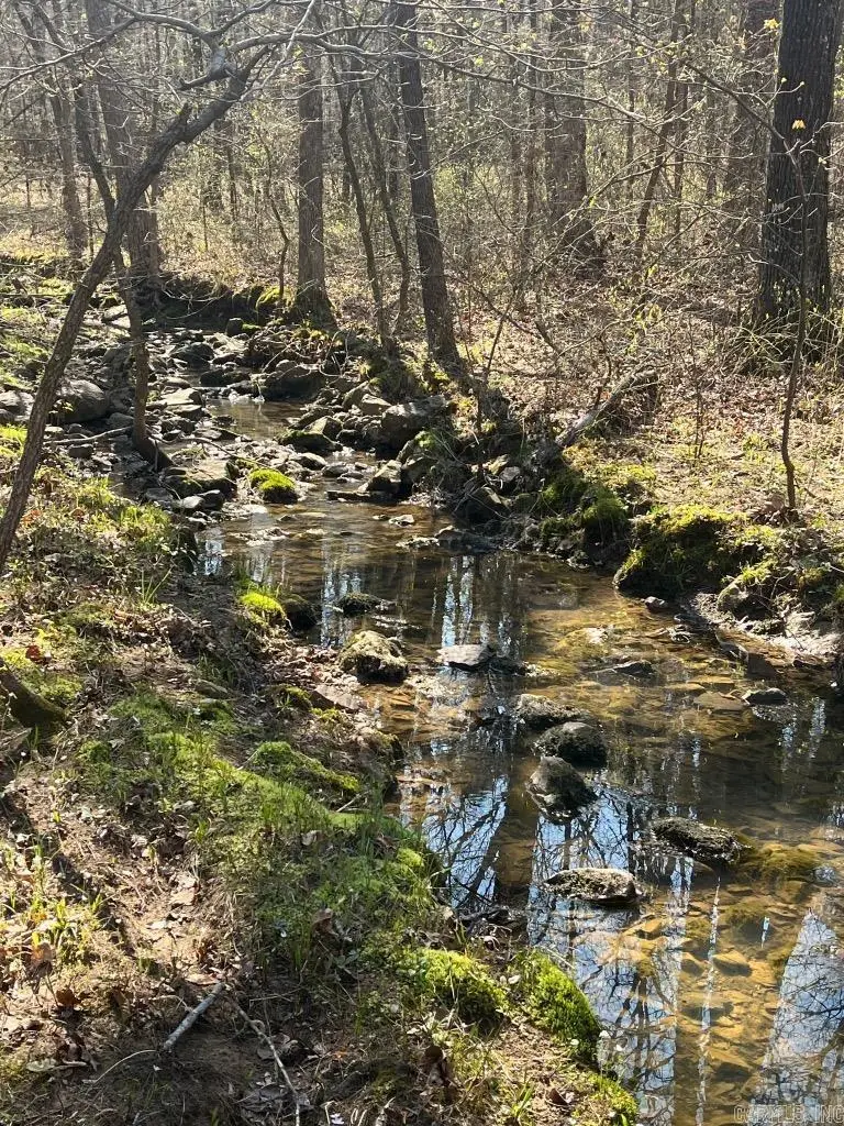 Lot 16 & 17 Ellen Lane, Higden, AR 72067 - #3