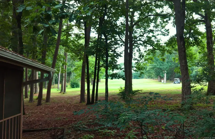 103 Blue Ridge Court, Fairfield Bay, AR 72088 - #2