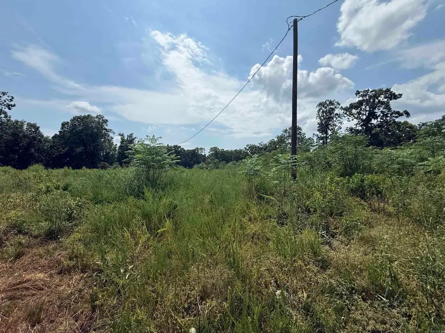 TBD Copperhead Drive, Magnet Cove, AR 72104 - #2