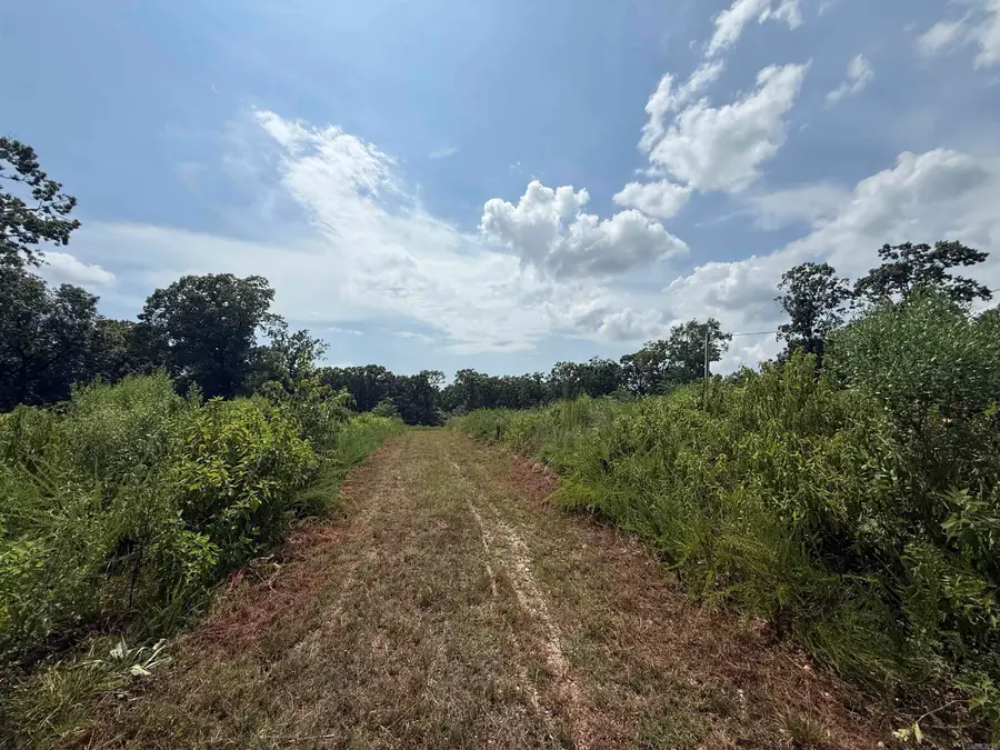 TBD Copperhead Drive, Magnet Cove, AR 72104 - #3