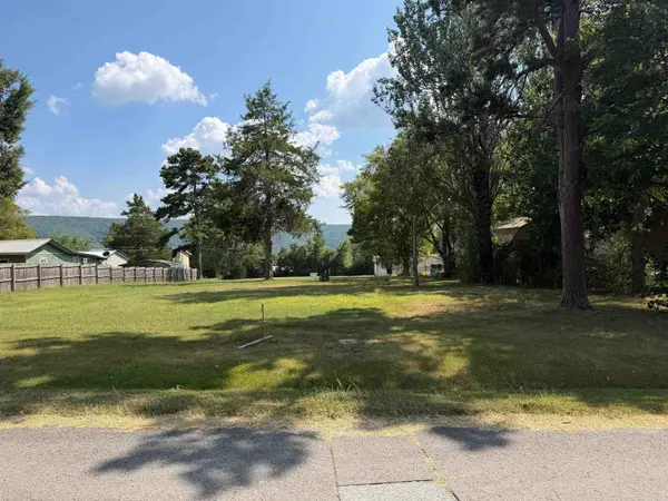 1008 Oak St., Mountain View, AR 72560