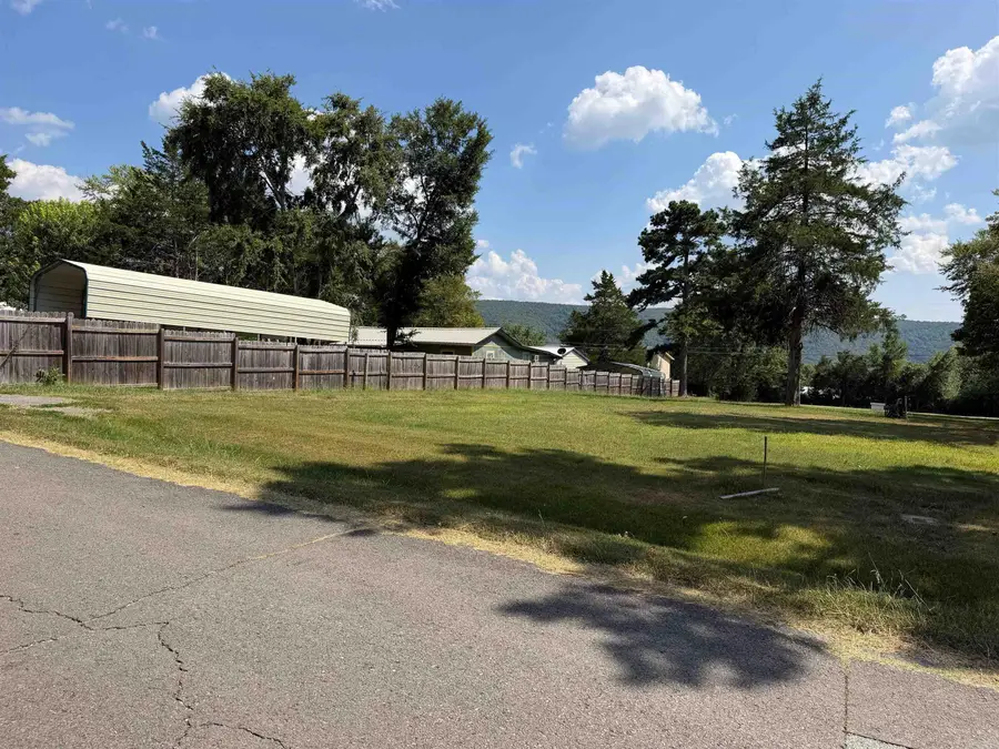1008 Oak St., Mountain View, AR 72560 - #2