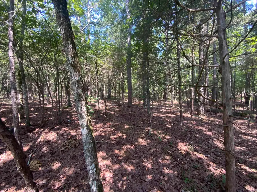 000 Granada Circle, Fairfield Bay, AR 72088 - #3
