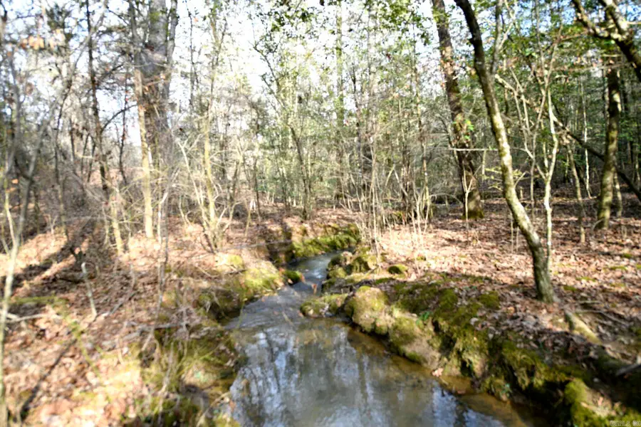 TBD Polk Road 95, Mena, AR 71953 - #3