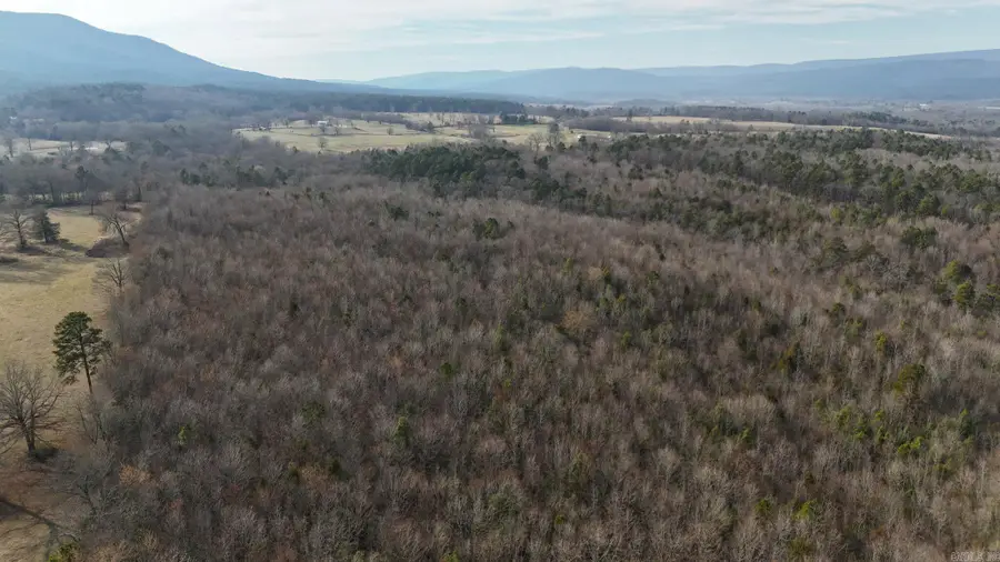 TBD Polk Road 48, Mena, AR 71953 - #3