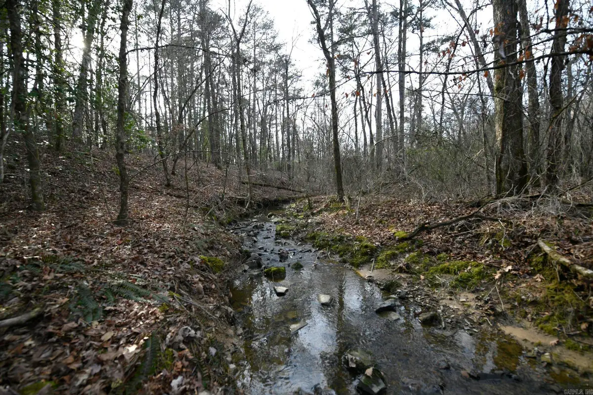 TBD Polk Road 95, Mena, AR 71953 - #1