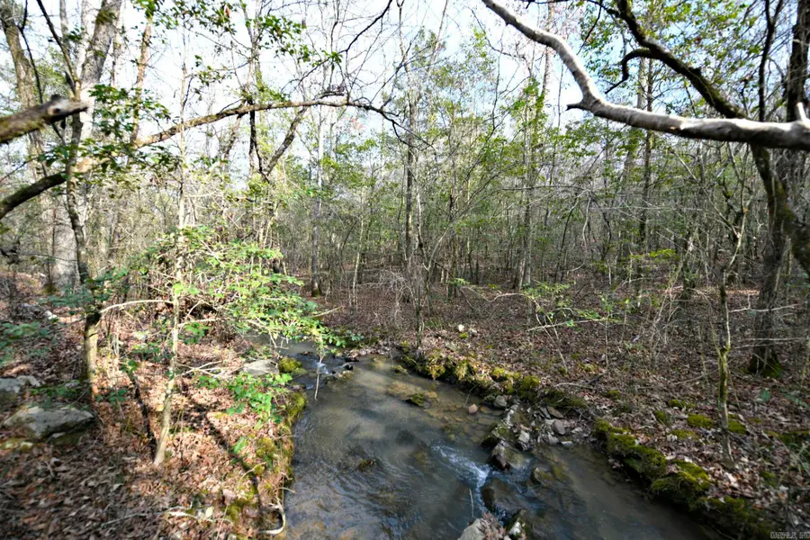 TBD Polk Road 95, Mena, AR 71953 - #3