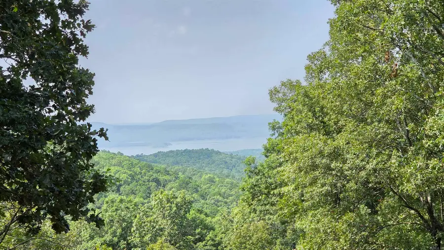 117 Tanglewood Cir, Fairfield Bay, AR 72088 - #3