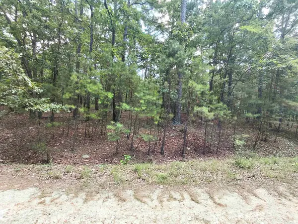 9 Estepa Circle, Hot Springs Village, AR 71909