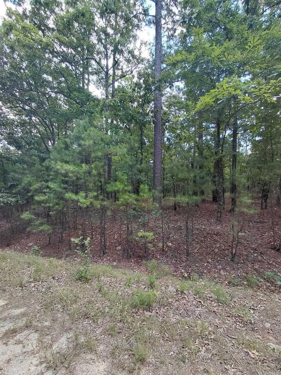 9 Estepa Circle, Hot Springs Village, AR 71909 - #2
