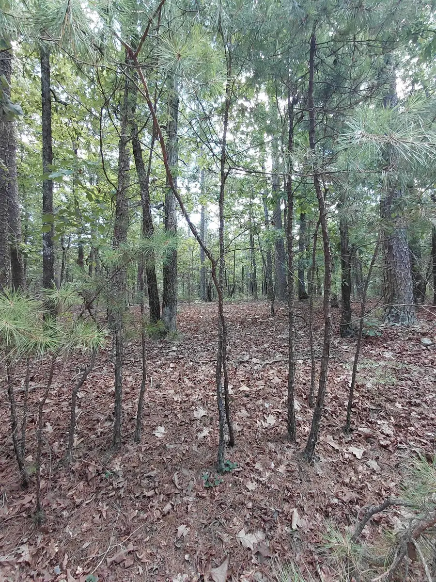 9 Estepa Circle, Hot Springs Village, AR 71909 - #3