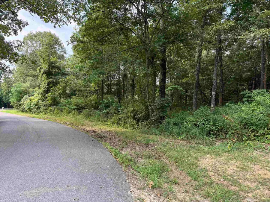 16 Camp Road, Melbourne, AR 72556 - #2