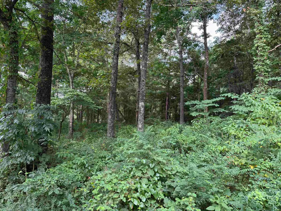 16 Camp Road, Melbourne, AR 72556 - #3