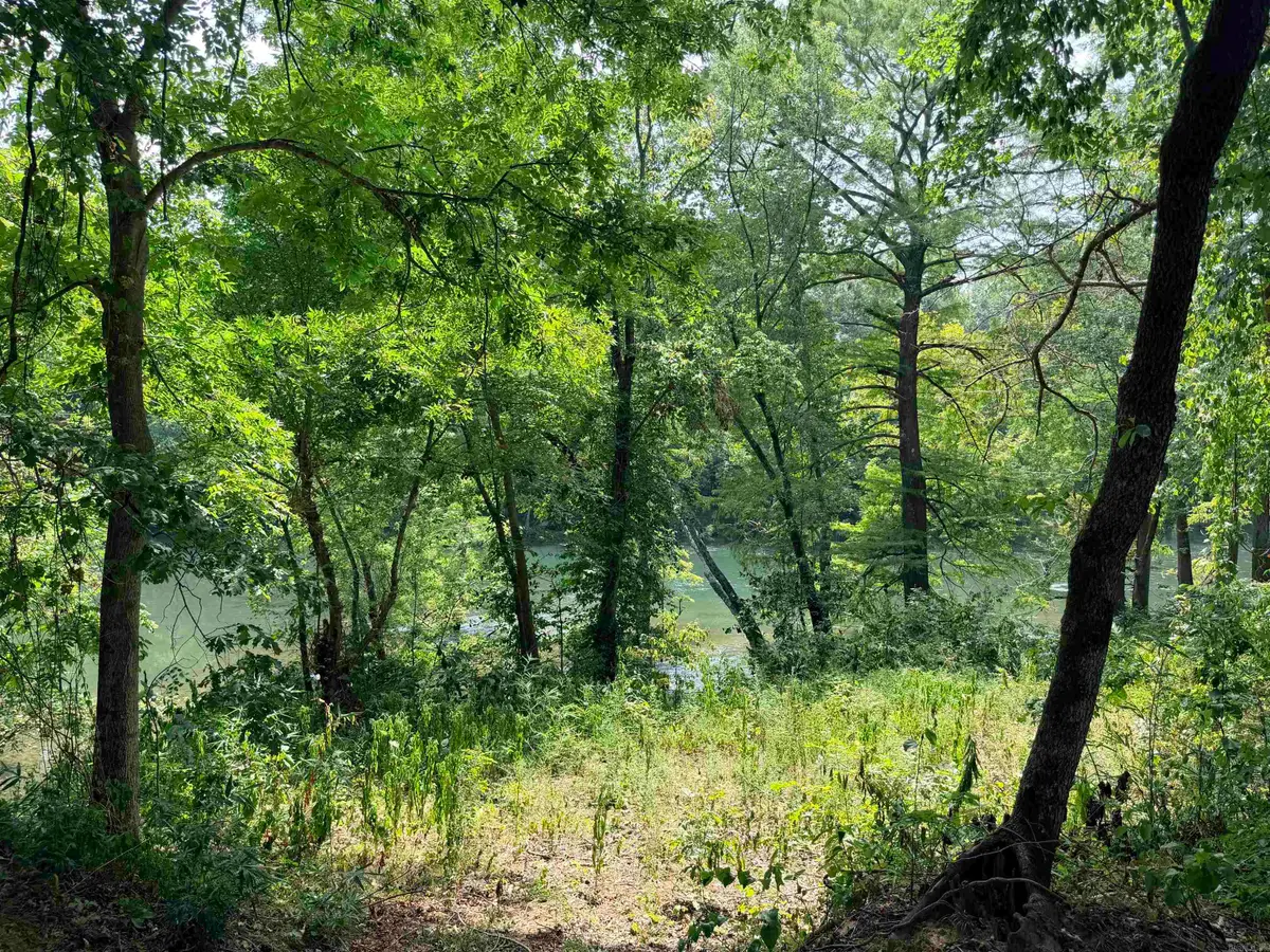 104 Adams Drive, Pangburn, AR 72121 - #1