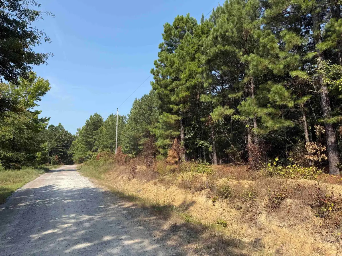 282 Fabre Place, Bonnerdale, AR 71933 - #1