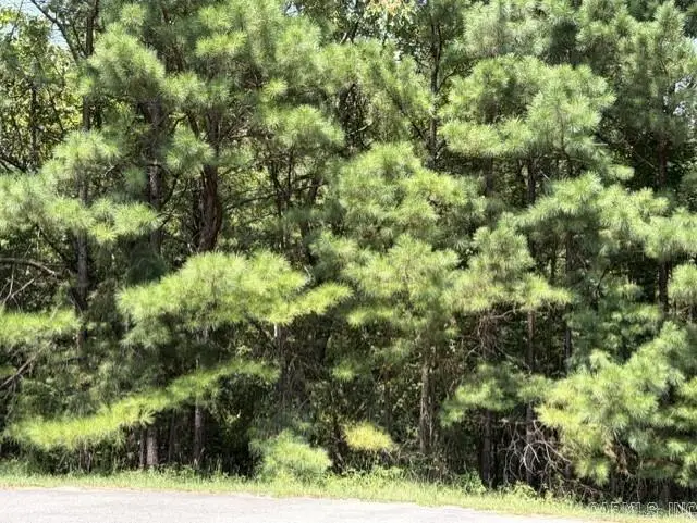 Lot 3 Dawson Springs, Little Rock, AR 72210 - #2