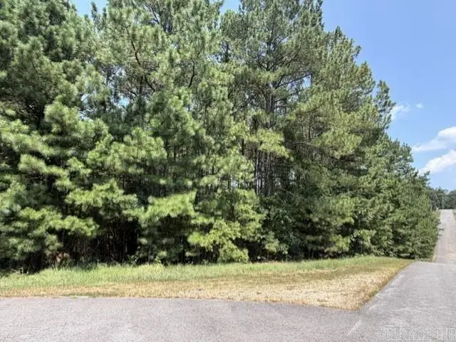 Lot 3 Dawson Springs, Little Rock, AR 72210 - #3