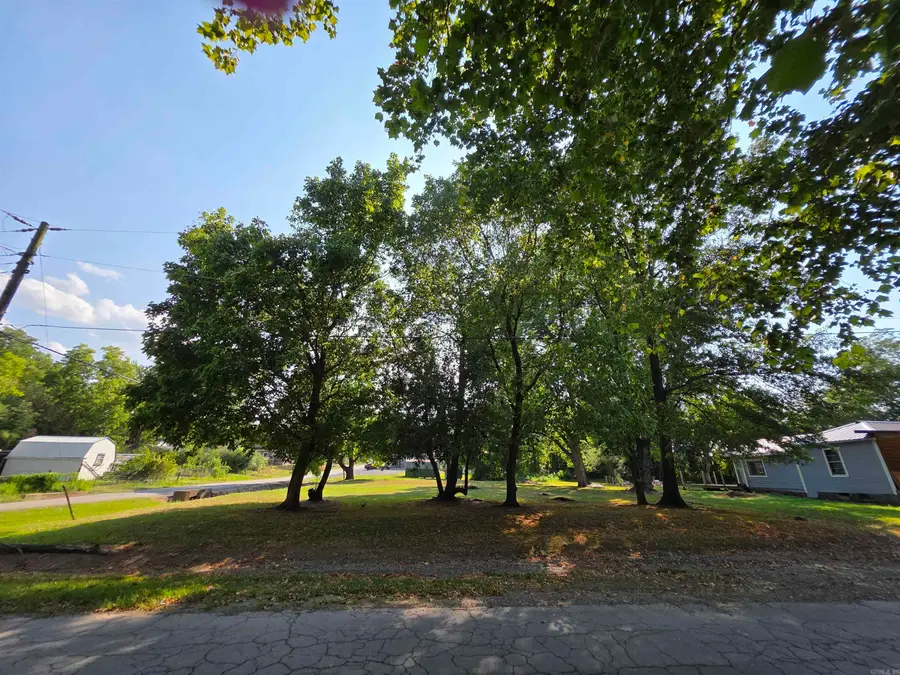 Unk Oak Ave & 3rd, Mena, AR 71953 - #2