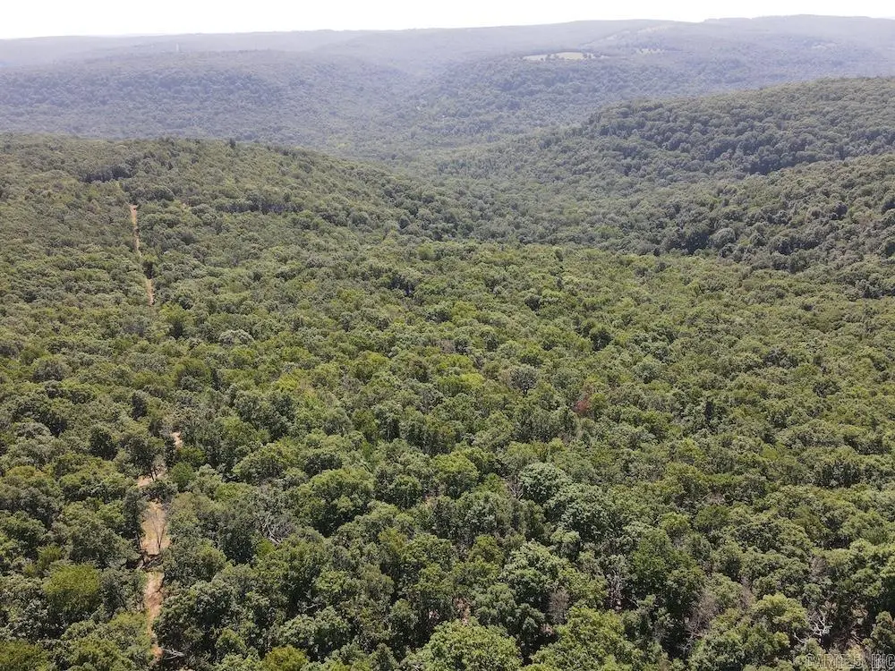 Cr 965, Hickory, AR 72638 - #1
