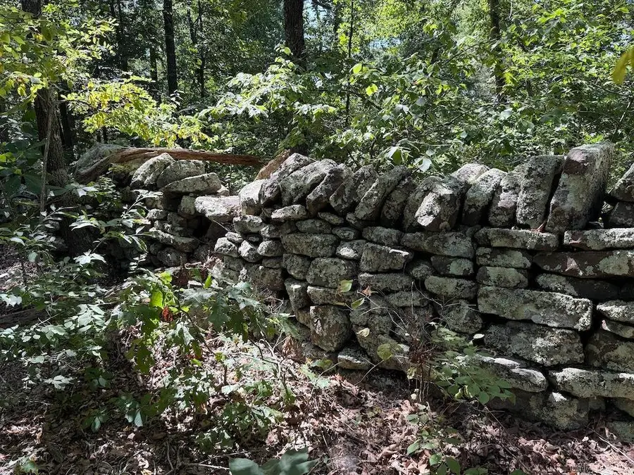 Cr 965, Hickory, AR 72638 - #3