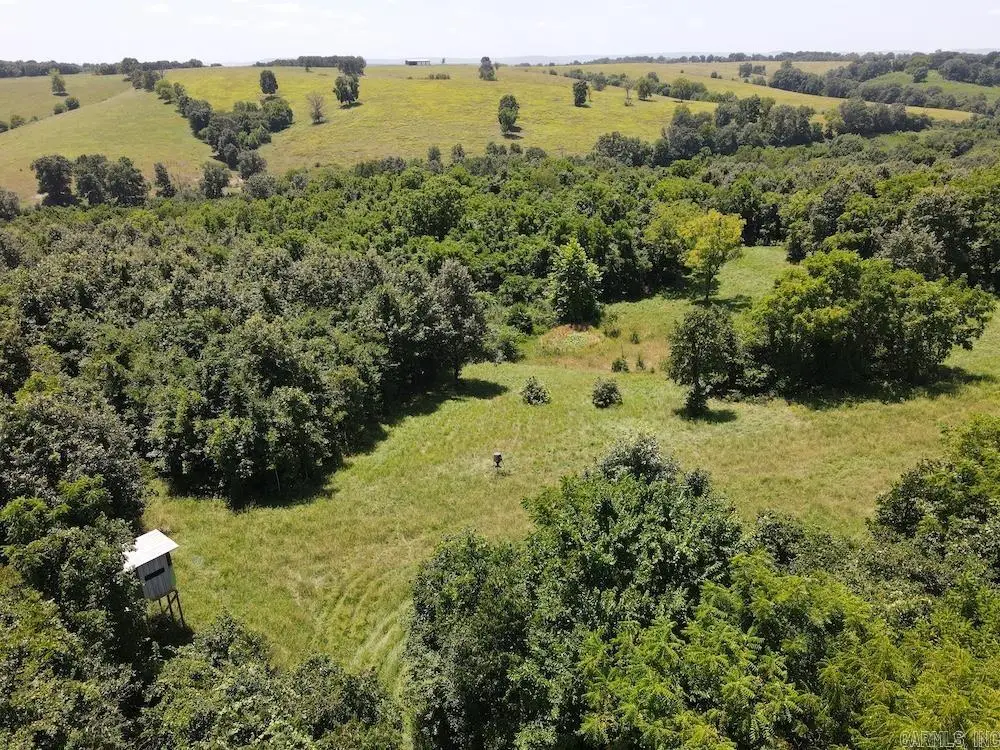 995 CR 818 Cr 818, Long Creek, AR 72638 - #1