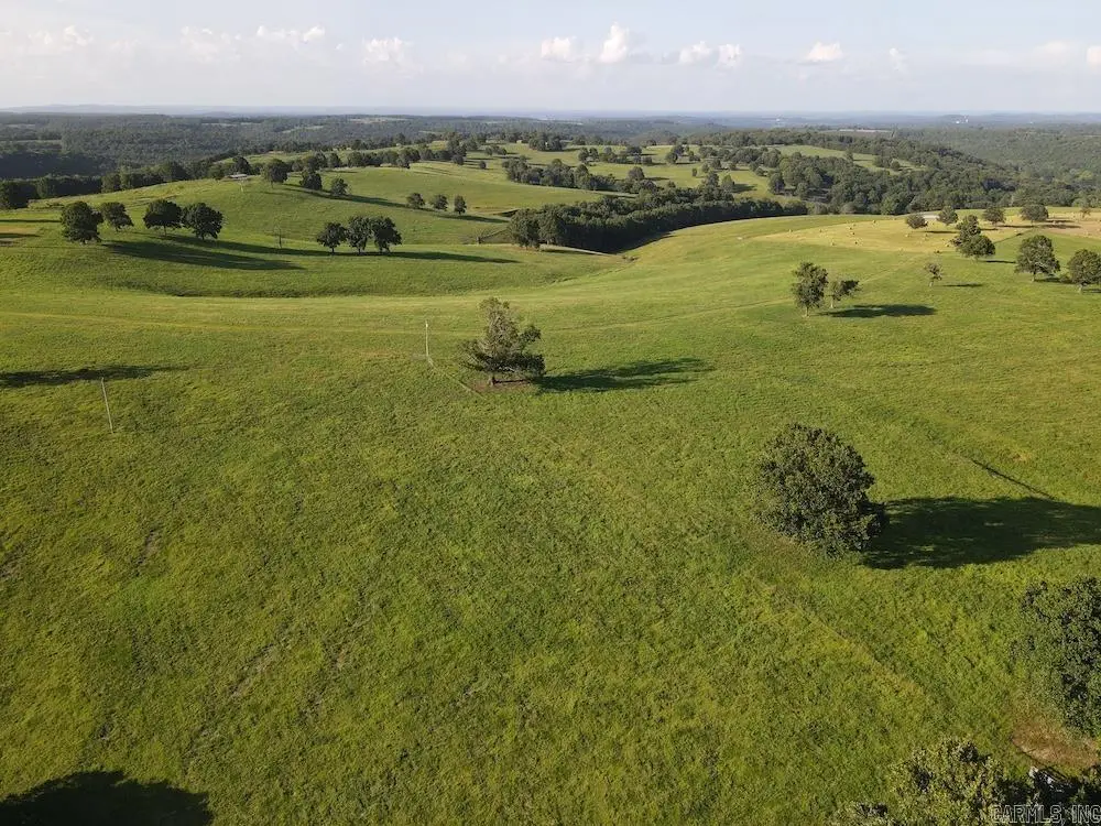 2151 Downes Rd, Lead Hill, AR 72644 - #1