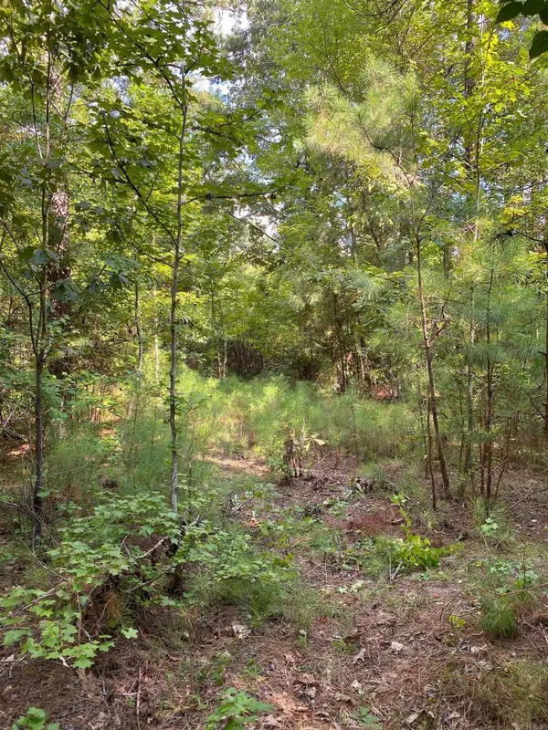 TBD Ouachita 51, Camden, AR 71701
