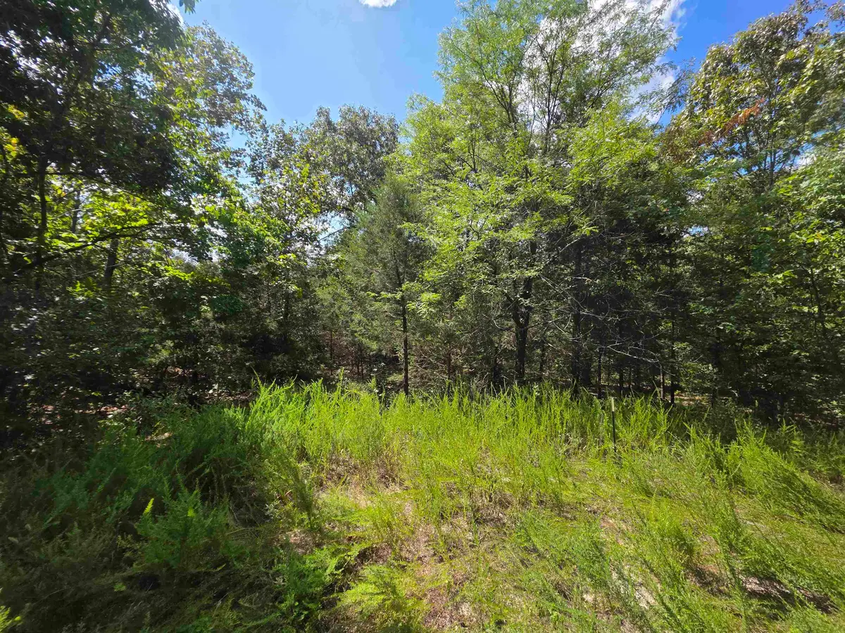 L20B5 Canute Drive, Cherokee Village, AR 72529 - #1