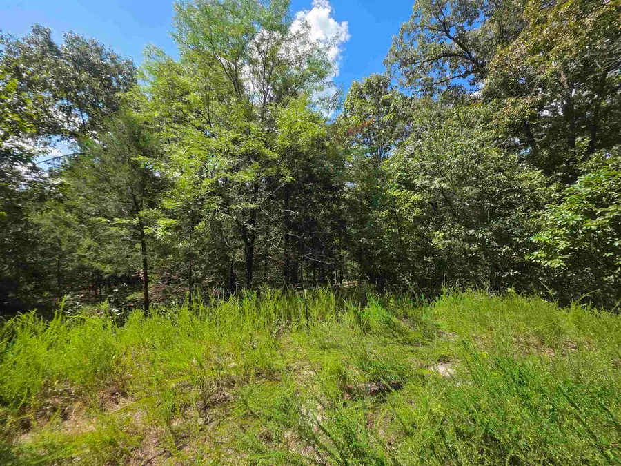 L20B5 Canute Drive, Cherokee Village, AR 72529 - #3