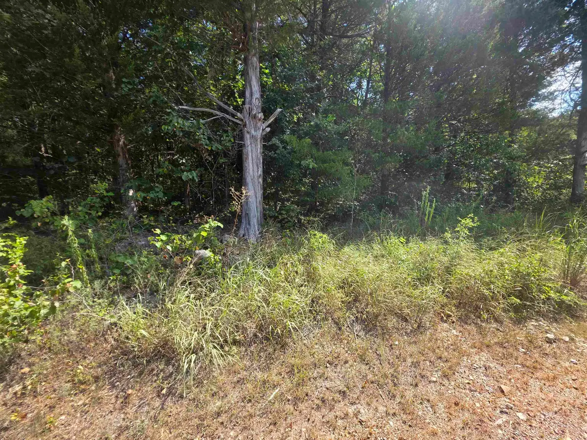 L14B4 Pawnee Drive, Cherokee Village, AR 72529 - #1