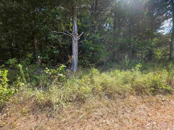 L14B4 Pawnee Drive, Cherokee Village, AR 72529