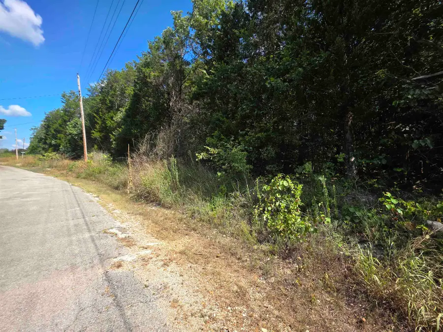 L14B4 Pawnee Drive, Cherokee Village, AR 72529 - #3