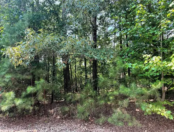 10 Nina Drive, Hot Springs Village, AR 71909