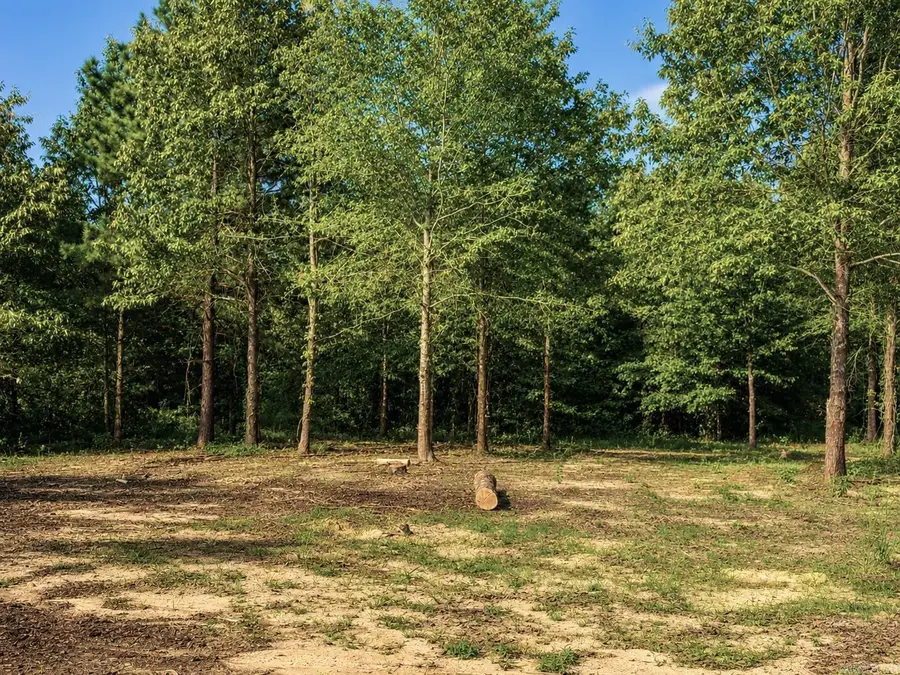 0 W Highway 270, Sheridan, AR 72150 - #3