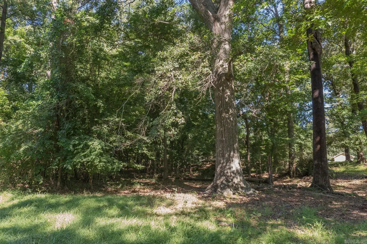 TBD North Park Drive, Arkadelphia, AR 71923 - #1