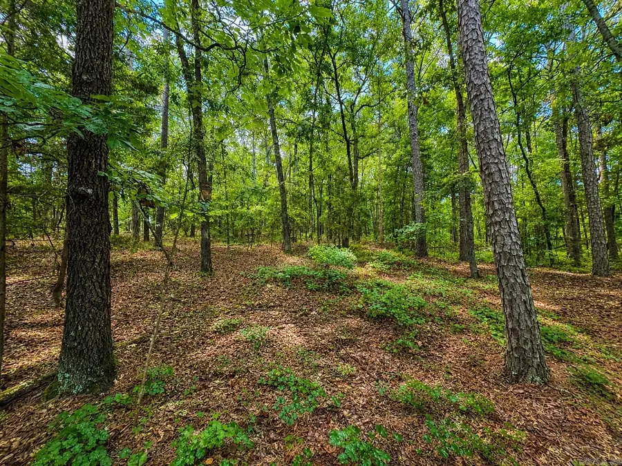 R2 Lakewood Dr, Edgemont, AR 72044 - #3