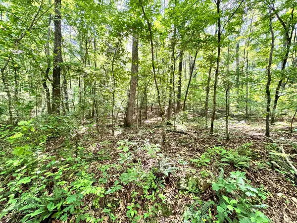 00 Red River Road, Fox, AR 72051