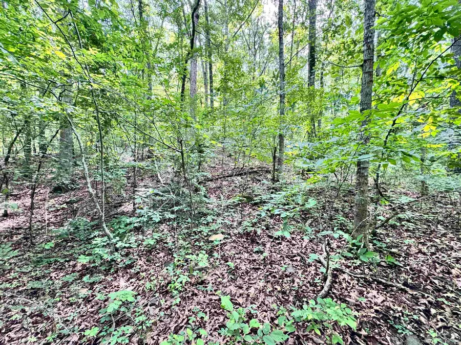 00 Red River Road, Fox, AR 72051 - #2