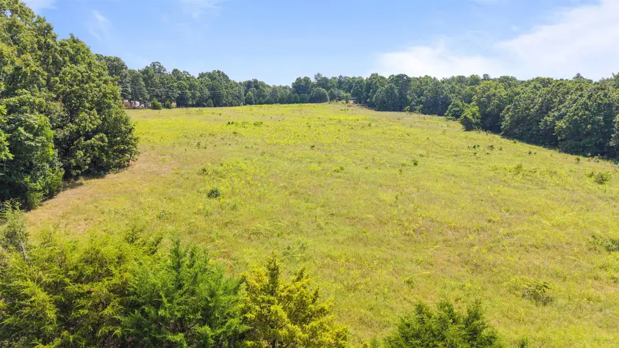 113 Brookhaven Trail, Ash Flat, AR 72513 - #3