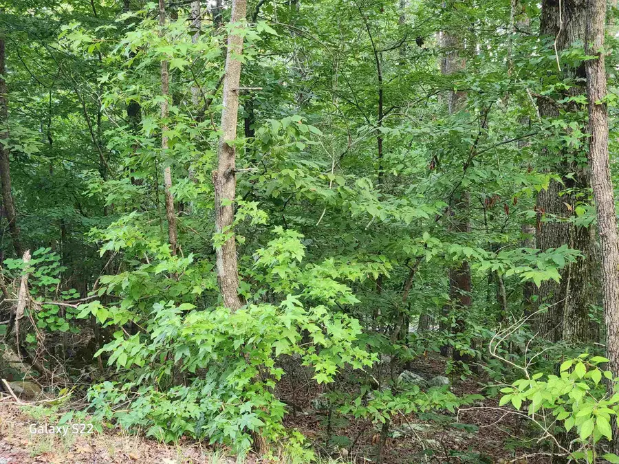 7 Jaguar Way, Hot Springs Village, AR 71909 - #2