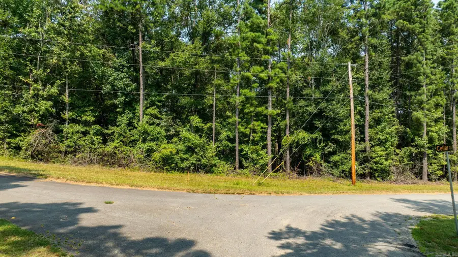 TBD Sarlo Dr, Mabelvale, AR 72103 - #3