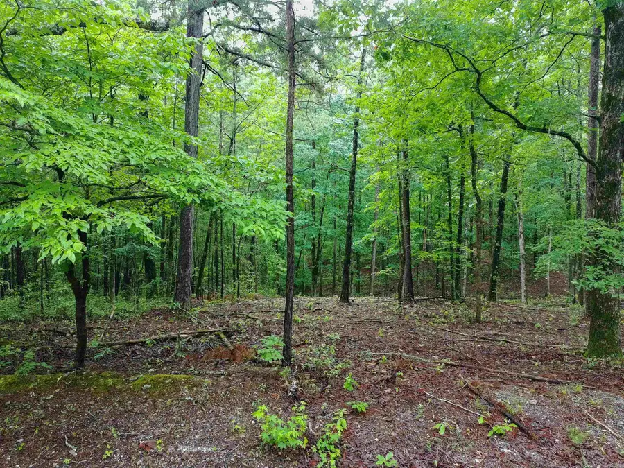 279 Needham Road, Hot Springs, AR 71901 - #2