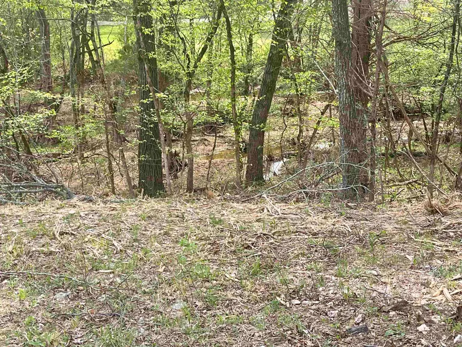 TBD Rainbow Drive, Hardy, AR 72542 - #3