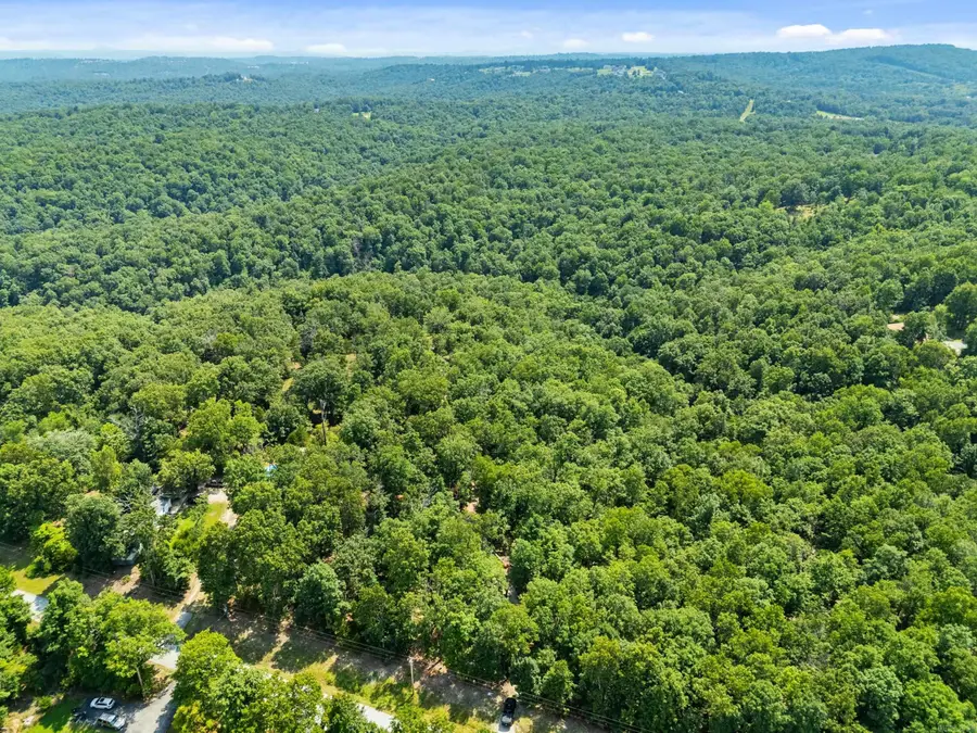 325 Fish And Fiddle Rd, Mountain Home, AR 72653 - #3