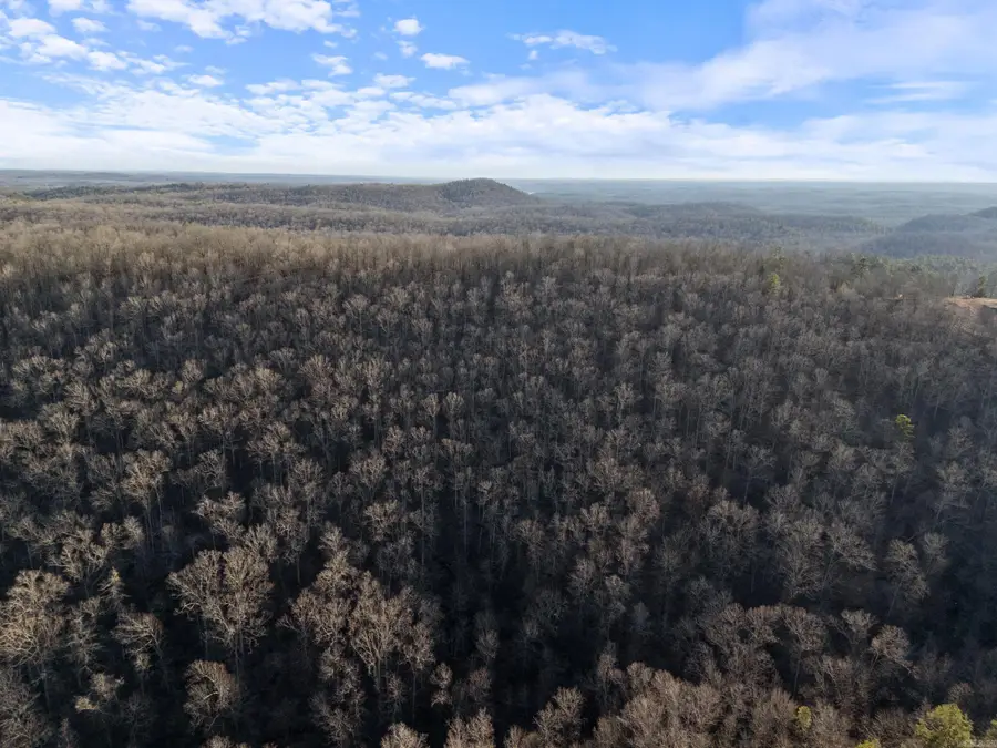 Lot 7,8,9 Turkey Trail, Paron, AR 72122 - #3
