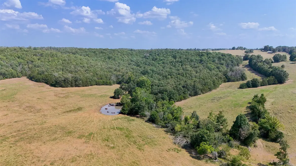0 Corinth Rd Road, Ash Flat, AR 72513 - #1